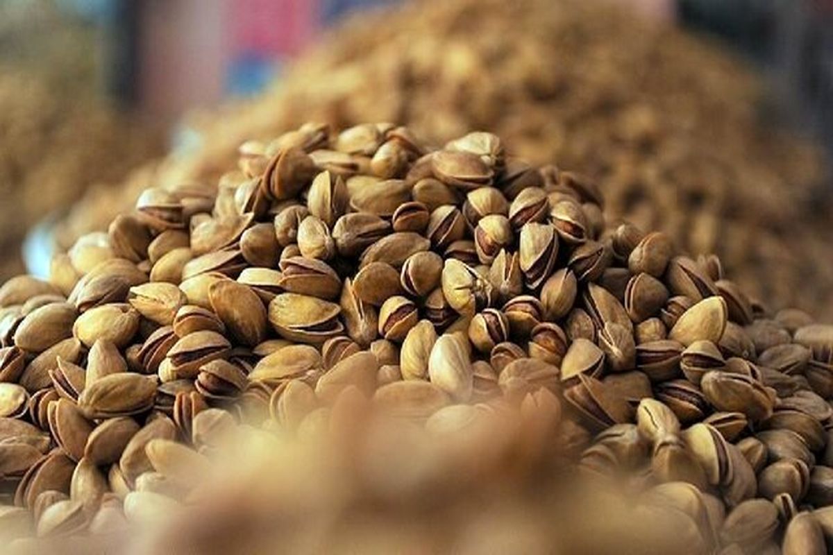 بخش کورین شهرستان زاهدان میزبان رویداد گردشگری پسته