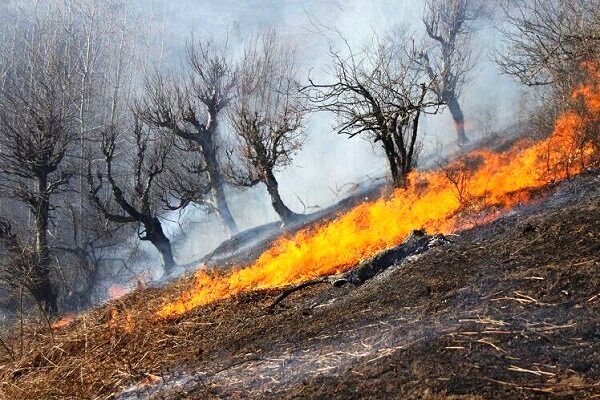 خسارت ۲۸۳ میلیارد تومانی آتش به اراضی کشاورزی استان لرستان