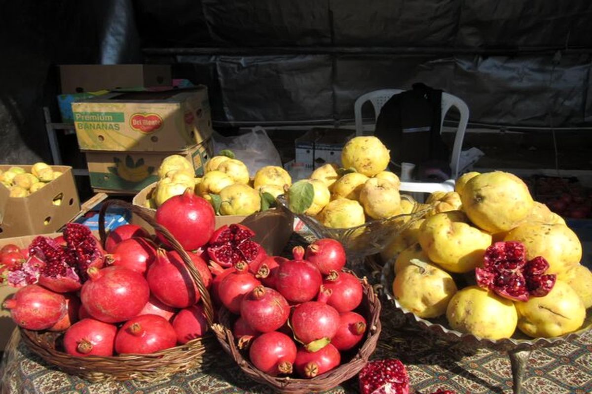 جشنواره انار در روستای جوشقان برگزار می‌شود