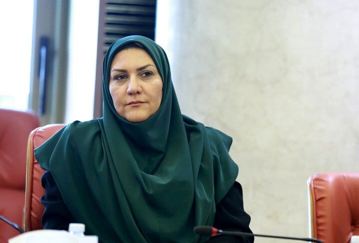 ارز ترجیحی گوشت حذف نشد