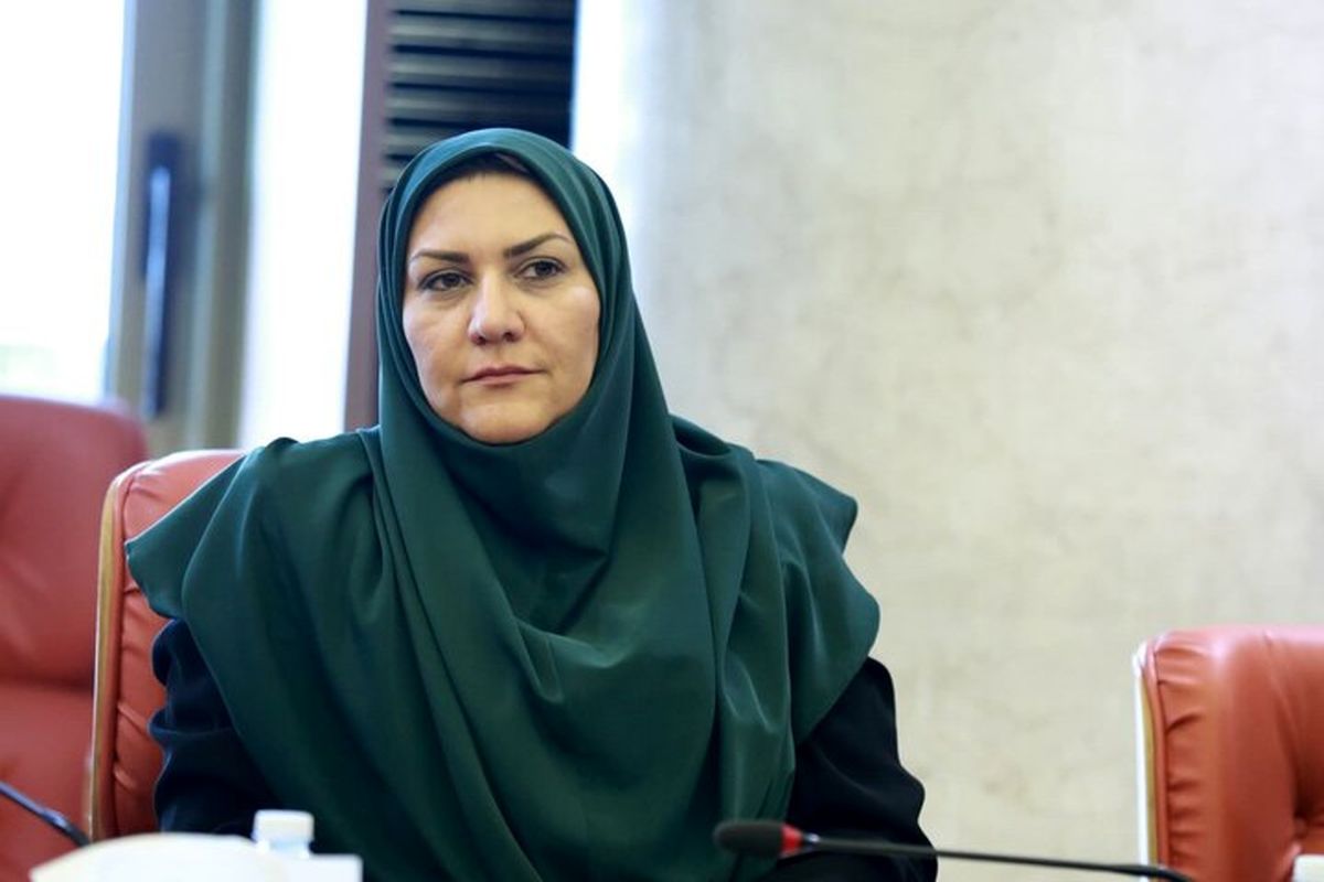 ارز ترجیحی گوشت حذف نشد