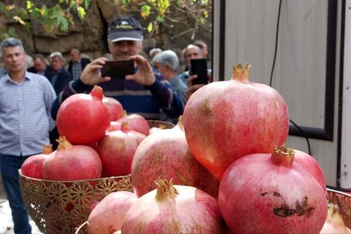 دومین جشنواره انار روستای گوو در بخش کاغذکنان شهرستان میانه برگزار شد