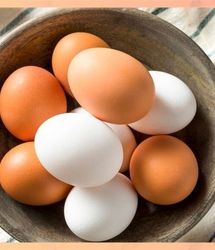 قیمت هر کیلوگرم تخم مرغ درب واحدهای تولیدی ۷۷ هزار تومان تعیین شد