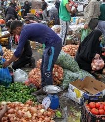 ممنوع شدن واردات ۴۴ محصول کشاورزی و دامی به عراق