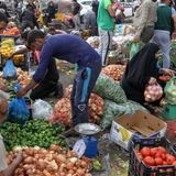 ممنوع شدن واردات ۴۴ محصول کشاورزی و دامی به عراق