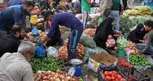 ممنوع شدن واردات ۴۴ محصول کشاورزی و دامی به عراق