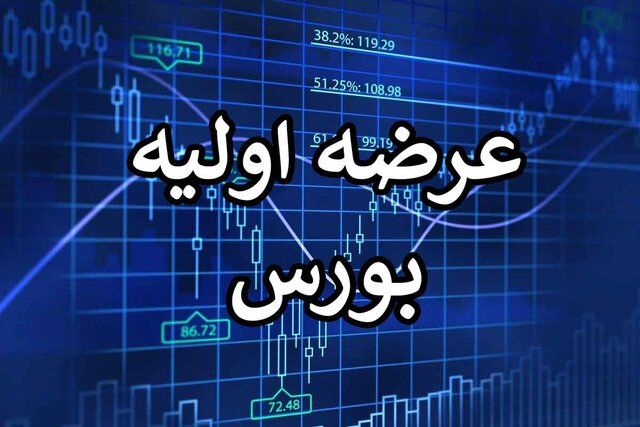 عرضه اولیه در بورس فعلا متوقف شد