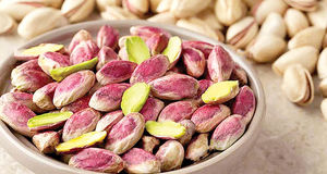 تولید ۸۵۰۰ تن پسته خشک در ورامین