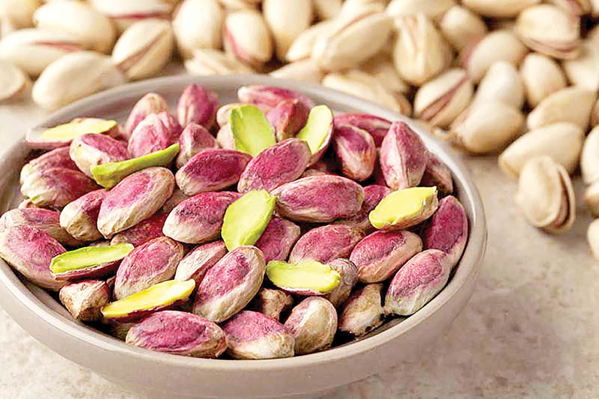 تولید ۸۵۰۰ تن پسته خشک در ورامین