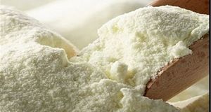 رشد ۴۵ درصدی صادرات شیرخشک در نیمه نخست امسال