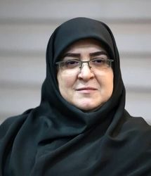 واردات خودرو در جلسه امروز هیئت دولت به تصویب رسید