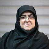 واردات خودرو در جلسه امروز هیئت دولت به تصویب رسید