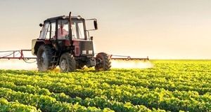 تغییرکاربری اراضی کشاورزی امنیت غذایی کشور را تهدید می‌کند