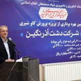 تولید سالانه ۱۲.۸ میلیون تن شیر در کشور