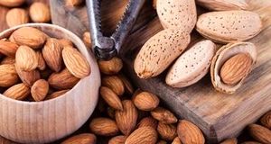 جشنواره بادام در شهر خسروشاه برگزار می‌شود
