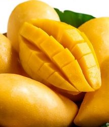 واردات انبه از ۱۰ خرداد از سرگرفته می‌شود