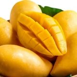 واردات انبه از ۱۰ خرداد از سرگرفته می‌شود