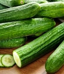 ثبت قیمت باورنکردنی ۱۰۰ هزار تومانی خیار در بازار ارومیه