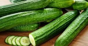 ثبت قیمت باورنکردنی ۱۰۰ هزار تومانی خیار در بازار ارومیه