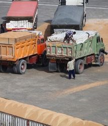 ممنوعیت فروش نهاده دامی در بازار آزاد