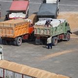 ممنوعیت فروش نهاده دامی در بازار آزاد