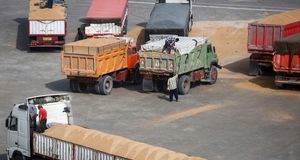 ممنوعیت فروش نهاده دامی در بازار آزاد