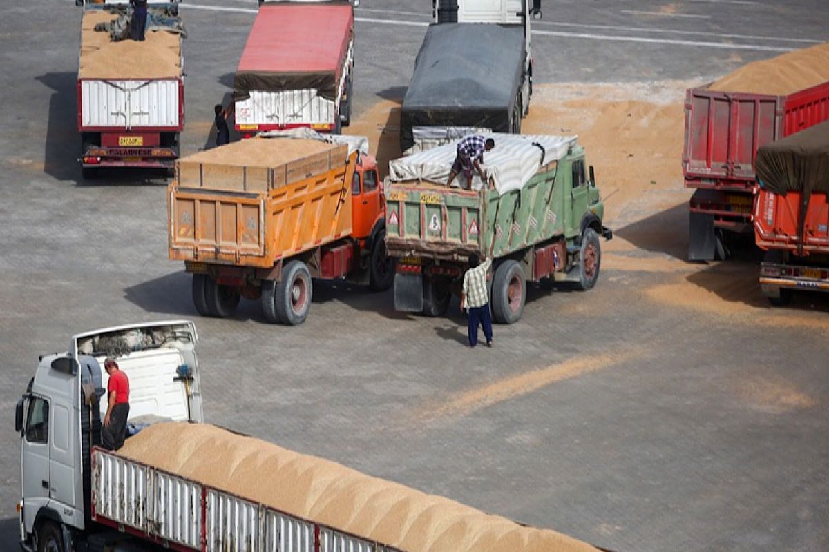 ممنوعیت فروش نهاده دامی در بازار آزاد