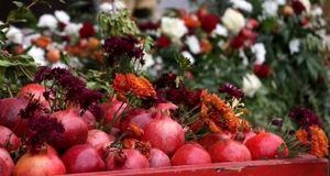 ساوه میزبان چهارمین جشنواره ملی تولید و صادرات انار