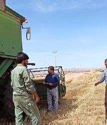 پیش‌بینی برداشت ۵.۵ هزار تن جو از مزارع گناباد