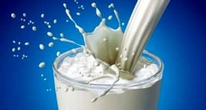 محتوای منتشر شده درباره آلودگی شیر در فضای مجازی مربوط به سال ۹۸ است