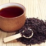 تولید ۱۹ هزار تن چای خشک از ابتدای فصل برداشت