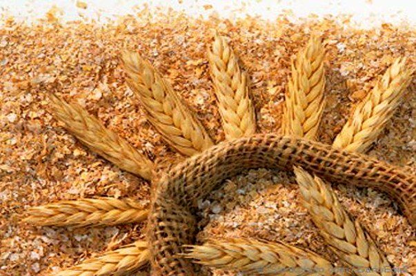 نرخ سبوس گندم آزاد شد