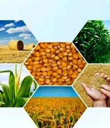 نزدیک نیمی از تولیدات کشاورزی به ضایعات تبدیل می‌شود