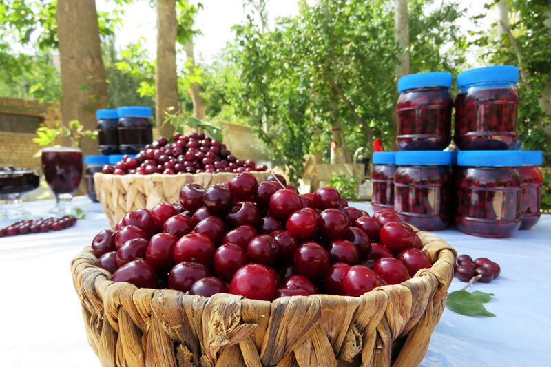جشنواره آلبالو و گیلاس در خنداب برگزار خواهدشد