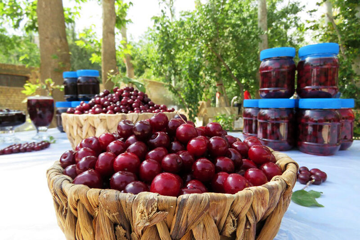 جشنواره آلبالو و گیلاس در خنداب برگزار خواهدشد