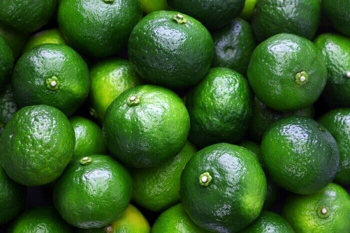 رنگ‌آوری مرکبات در استان مازندران ممنوع شد