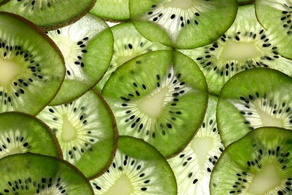 اولین واحد تولیدی تبدیل کیوی به پاستیل در رودسر افتتاح میشود