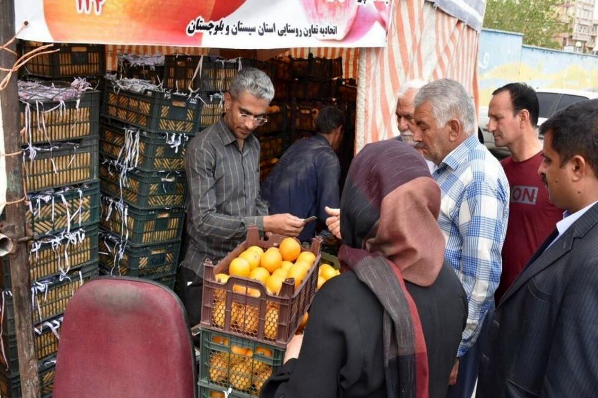 تامین ۱۷۰ تن سیب درختی، پرتقال و خرما ویژه تنظیم بازار در استان سیستان و بلوچستان