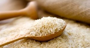 واردکنندگان چشم انتظار تخصیص ارز ترجیحی برای واردات برنج