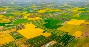 ۷۰ درصد اراضی کشاورزی سنددار شدند