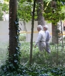 فعالیت بازنشستگان در تاکسی اینترنتی قانونی می‌شود