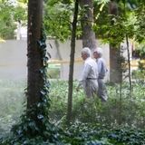 فعالیت بازنشستگان در تاکسی اینترنتی قانونی می‌شود