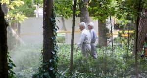 فعالیت بازنشستگان در تاکسی اینترنتی قانونی می‌شود