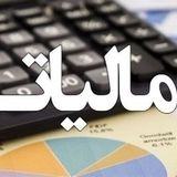 شناسایی فرار مالیاتی ۶۷۷ میلیارد تومانی سپرده‌گذاران در یک صندوق قرض الحسنه در شیراز