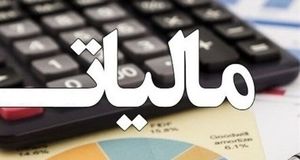 شناسایی فرار مالیاتی ۶۷۷ میلیارد تومانی سپرده‌گذاران در یک صندوق قرض الحسنه در شیراز