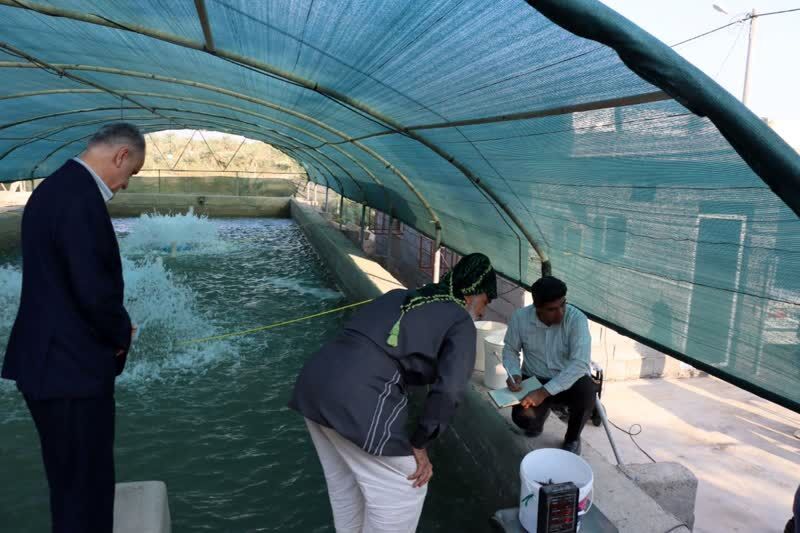 آغاز پرورش ماهیان سردآبی در آبادان