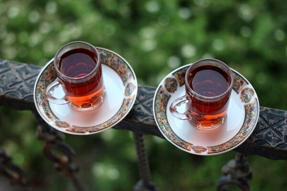 تولید ۱۸ هزار تن چای خشک تا به امروز