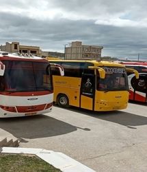 تامین ۵۰۰ دستگاه اتوبوس برای بازگشت زائران اربعین 