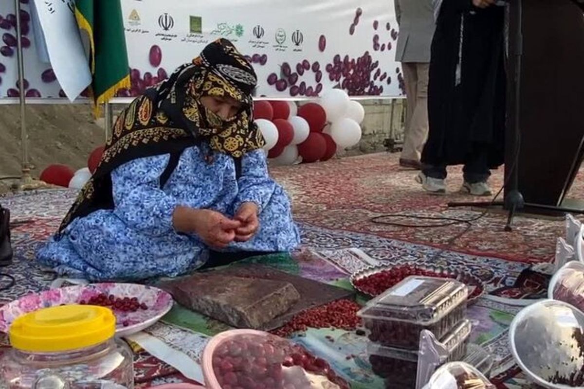 هشتمین جشنواره زغال‌اخته در کلیبر برگزار شد