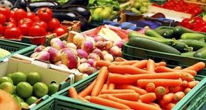 تولید یک میلیون و ۲۰۰ هزار محصولات کشاورزی در پیشوا
